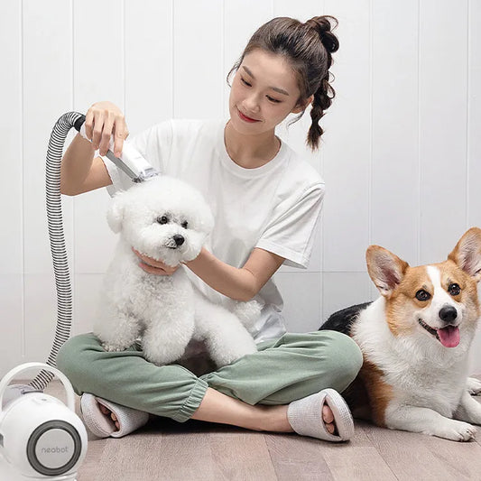 Pet Grooming Tool