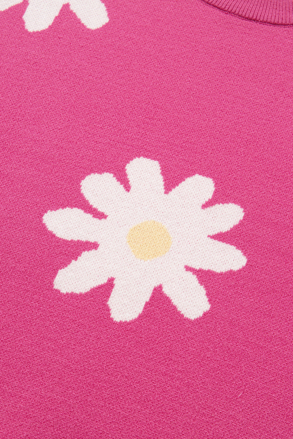 Bright Pink Daisy Ribbed Hem Sweater - MAD RUFFI